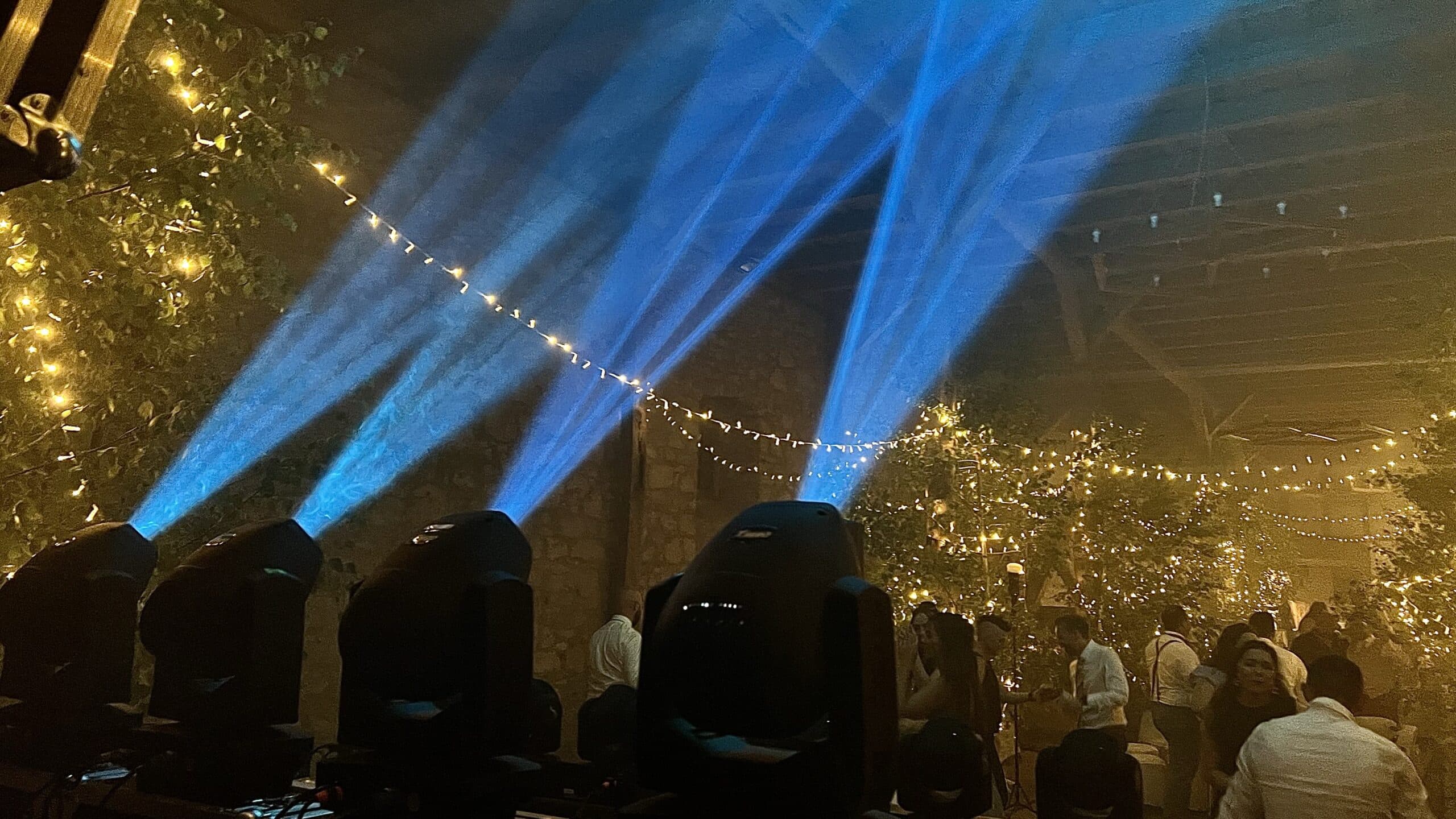 Professionelle Begleitung einer Hochzeit in Thüringen
